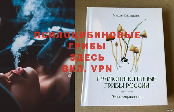 ешки Тайга